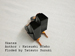 origami Skates, Author : Katsushi Nosho, Folded by Tatsuto Suzuki
